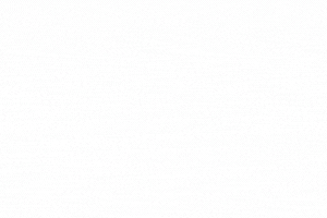 Confidential Support