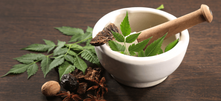 ayurveda career