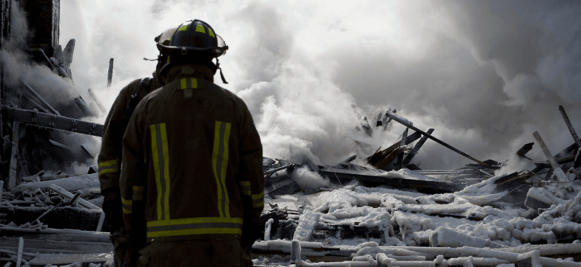 disaster management career