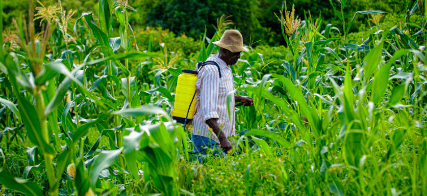 Agronomy career
