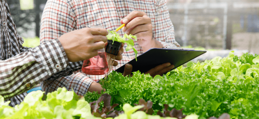 Food & Agriculture career