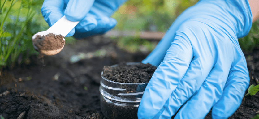 Soil Science career